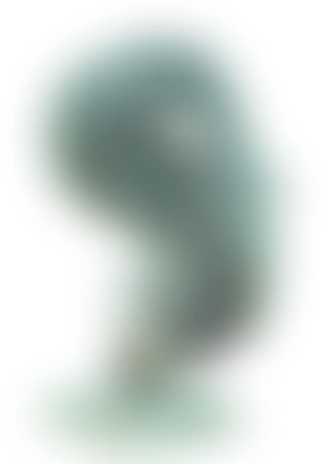 SQUIRREL (preview)