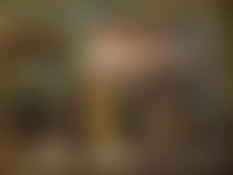 "Procession" (preview)