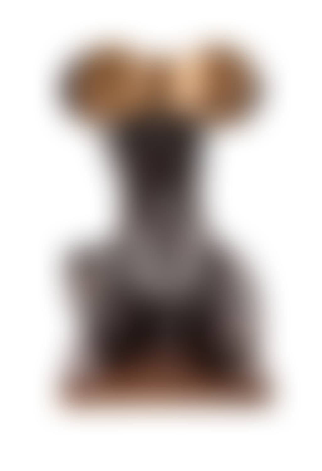 The open one II (preview)