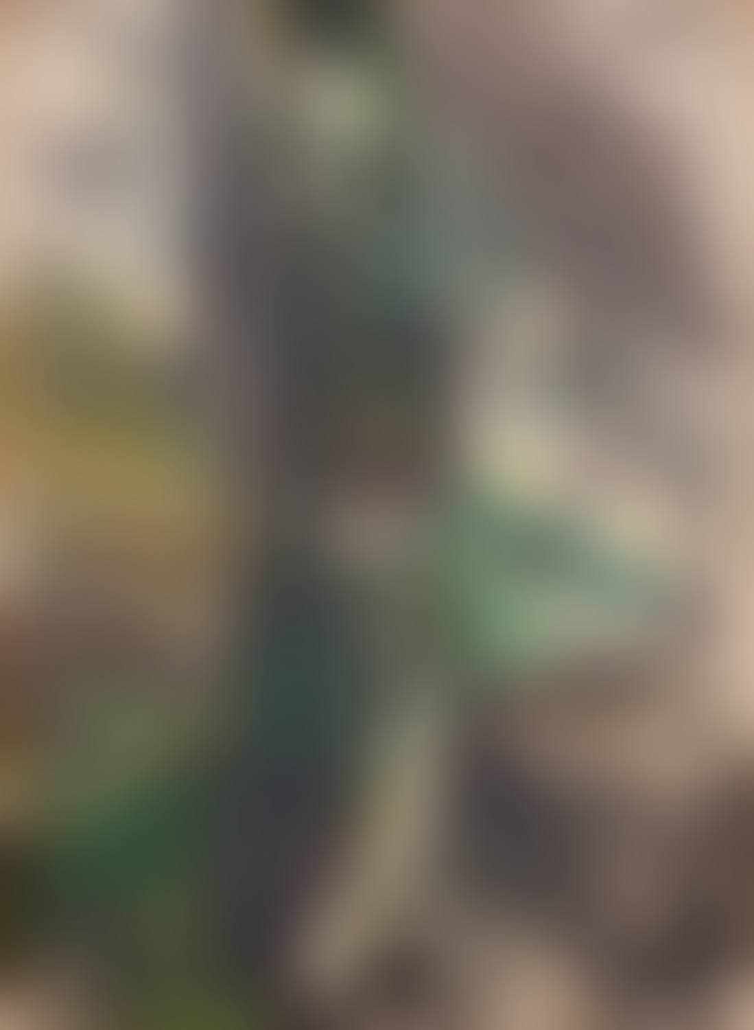 Forest view (preview)