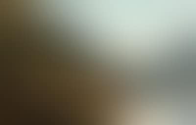 View of Hallstatt (preview)