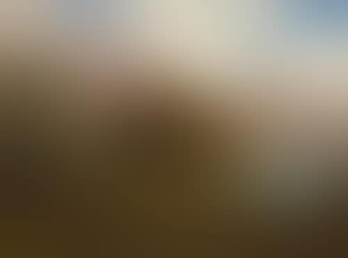 Lake Lucerne with view of the Rigi (preview)