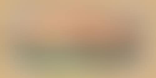 Paysage (preview)