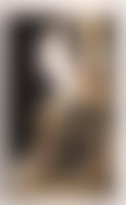 From: Retrato de Mujer con Mantilla (preview)