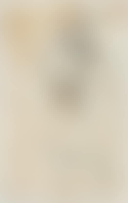 Priest kneeling with hands folded and gazing towards heaven. (preview)