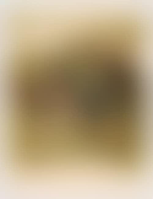 Untitled (preview)