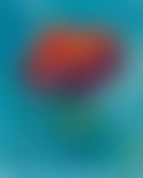 Vase with flowers (preview)