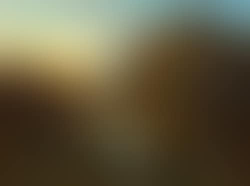 A wooded mountain landscape with stream (preview)