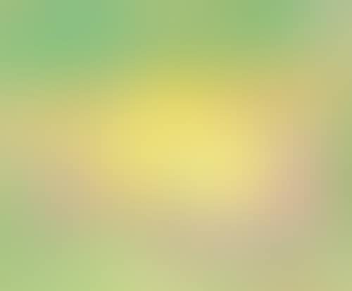The yellow tree (preview)