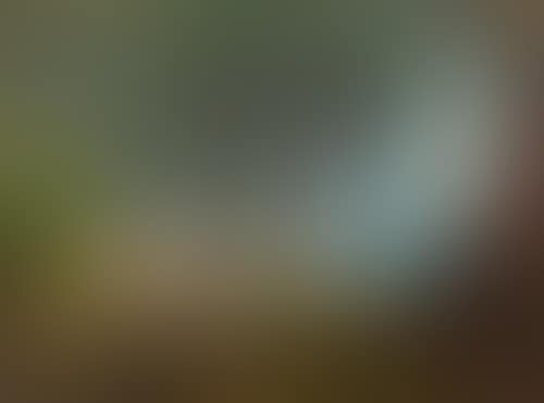 The good shepherd (preview)