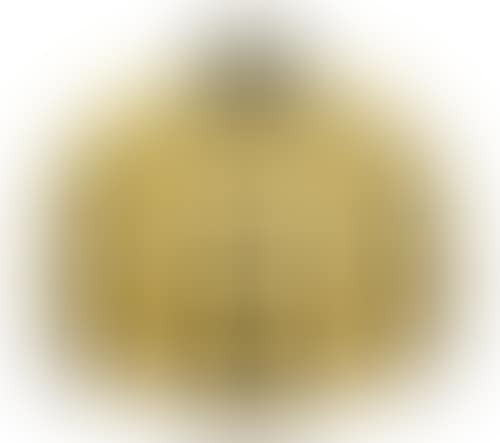 Pumpkin (yellow/black). (preview)