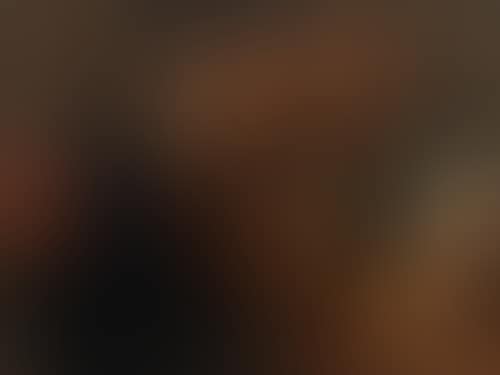 The Tribute Money. (preview)