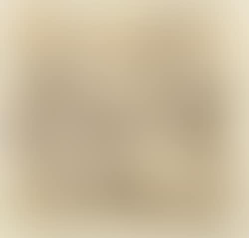 A brawl in a tavern (preview)
