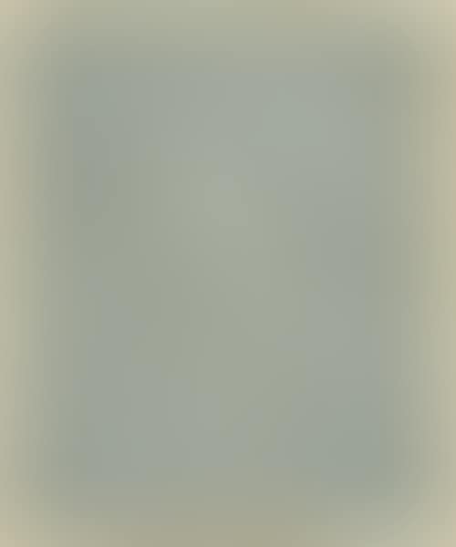 Study of a breastplate. (preview)