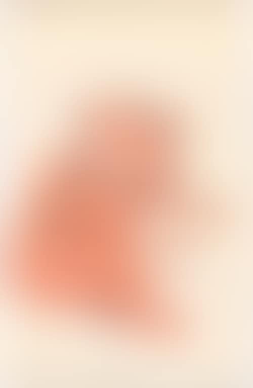 Brown Sam (preview)