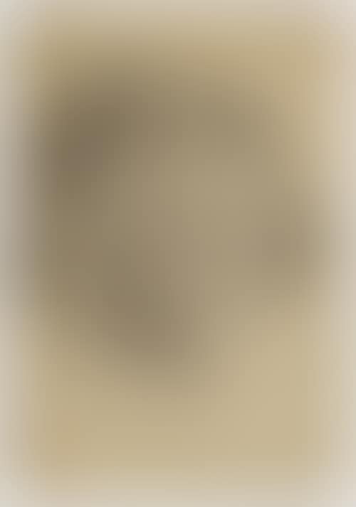 A portrait of a man with curly hair. Verso: Male nude study (trimmed). (preview)