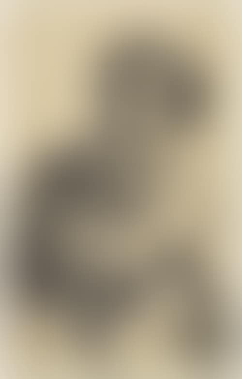 Portrait of a lady, turned slightly to the left (preview)