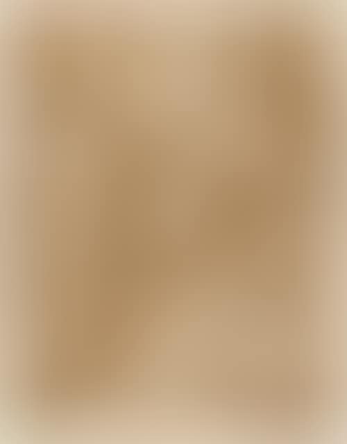 The twelve-year-old Jesus preaching in the temple. (preview)