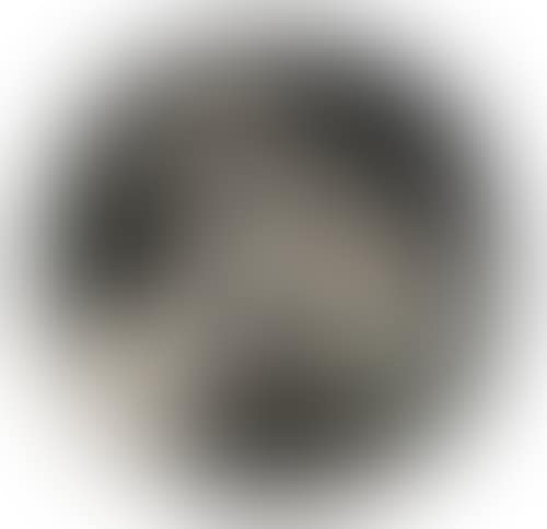 Tête de Chèvre de Profil (preview)