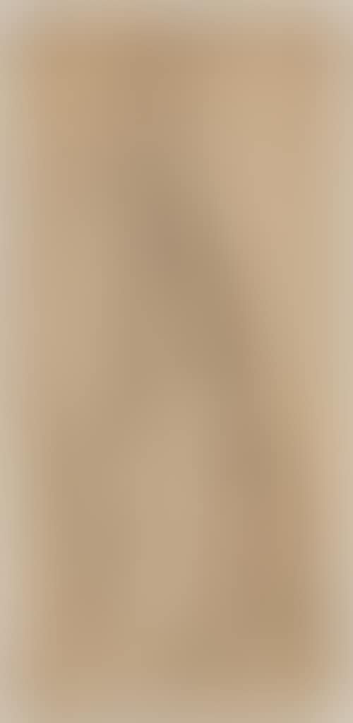 Monk with staff in profile to the right (preview)