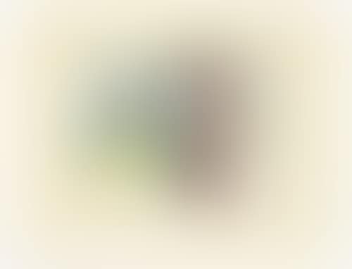 Nature Morte (preview)