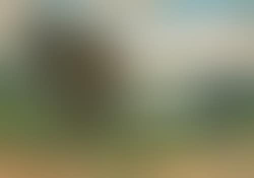 River landscape in Thüringen. (preview)