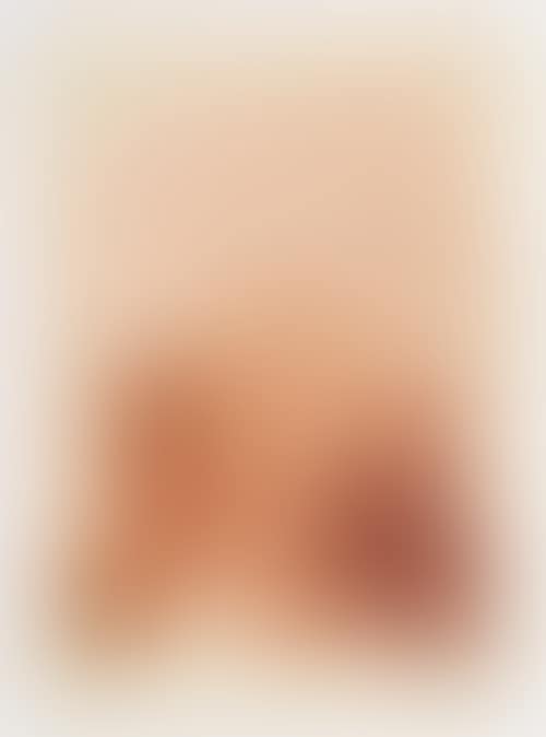 Composition rose (preview)