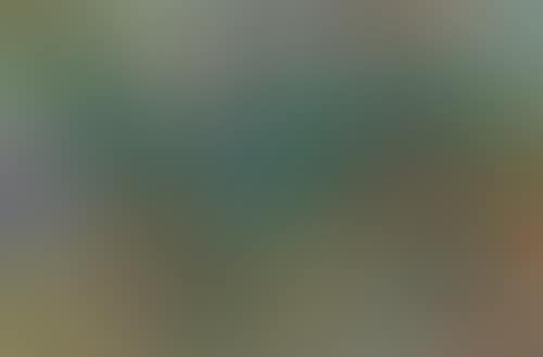 Vineyards (preview)
