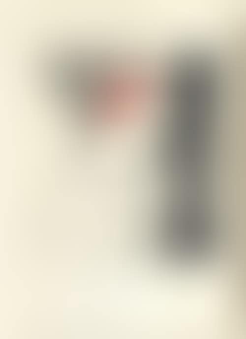 Le Coq (preview)