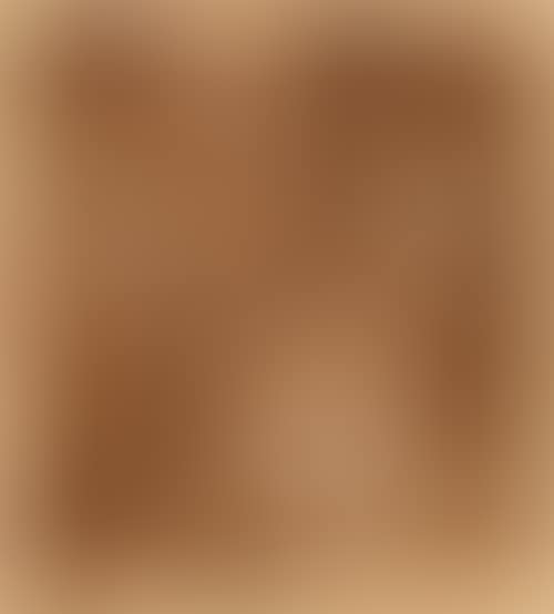 The Adoration of the Shepherds. (preview)