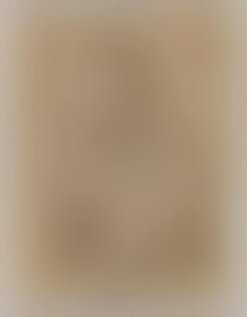Study of a female saint enthroned on clouds. (preview)