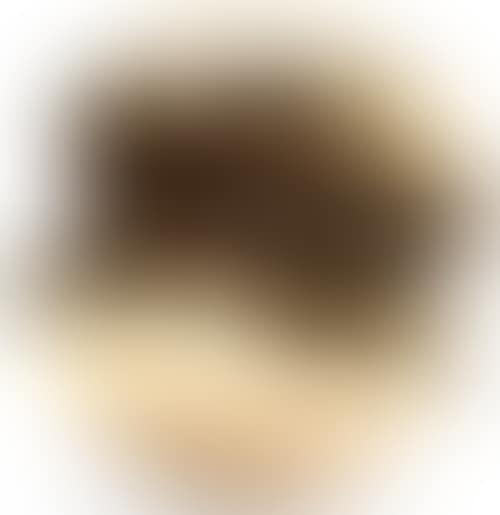 SFERA (preview)