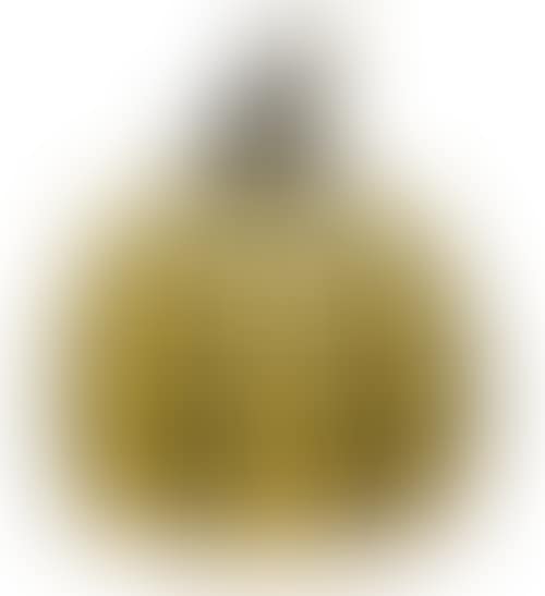 Pumpkin (yellow/black). (preview)