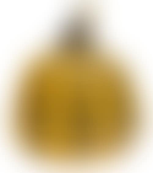 Pumpkin (yellow/black). (preview)