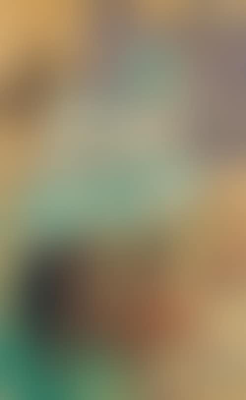 Untitled (preview)