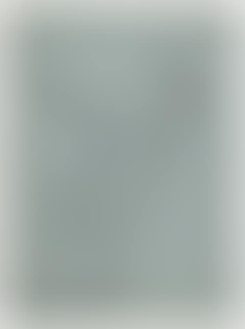Study of an evangelist. (preview)