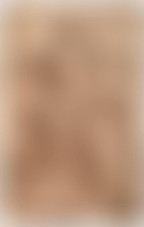 Christ arisen. (preview)