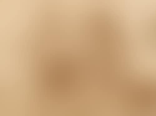Study for the base of a bronze. (preview)