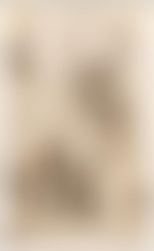 The Annunciation. (preview)
