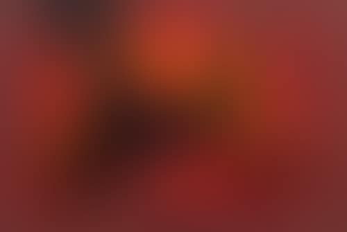 Cavallo nero (preview)