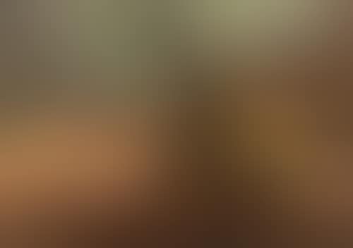 Arbres et Rochers (preview)