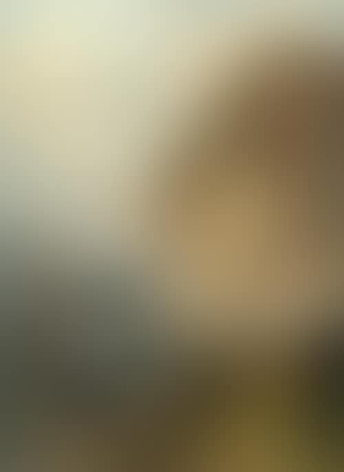 Falaises (Large cliffs) (preview)