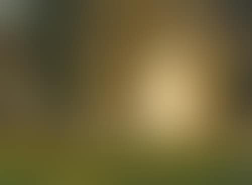A wooded landscape with stag and deer (preview)