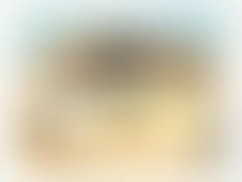 La corrida (preview)