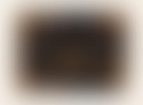 L-1966-6 (preview)