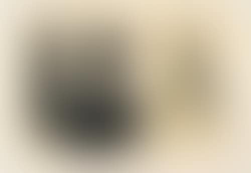 L-1970-21 (preview)