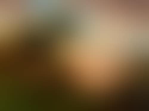 Evening by the lake shore. (preview)