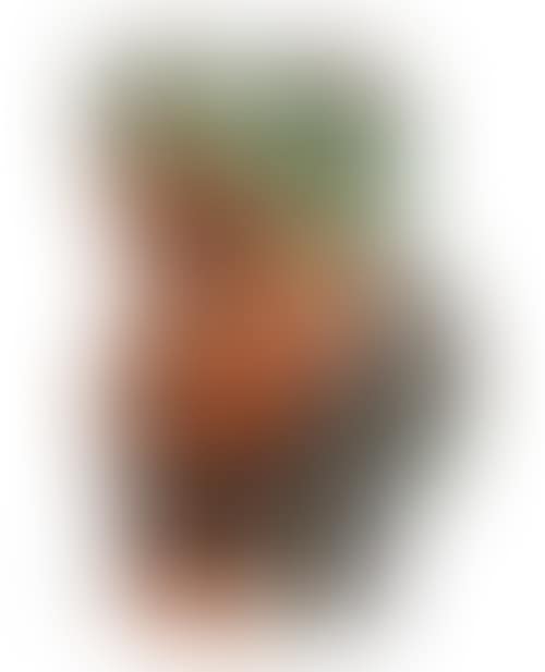 Le barbu (preview)