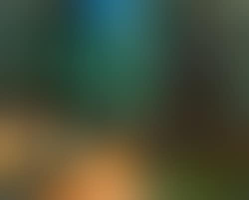 L"Allée (preview)