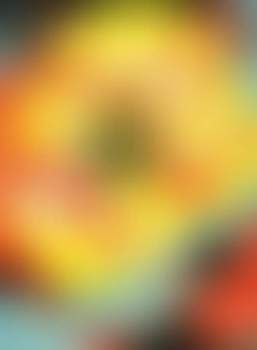 Soleil (preview)